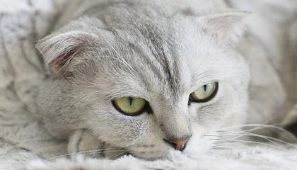 苏超十大“男主”③ 有你心目中的他吗？丨阿刁喜欢看球